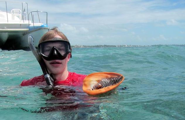 学生们在伯利兹进行春假旅行，研究那里的堡礁系统.